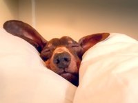 I woke up a hour&nbsp;late…